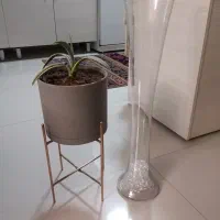 گلدان