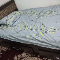 تخت