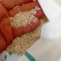 برنج فجر شمال|خوردنی و آشامیدنی|پاکدشت, شهرک انقلاب|دیوار