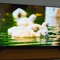 ال ای دی 50 اینچ STAR TRAC آندروید 14 آکبند|تلویزیون و پروژکتور|اهواز, پردیس دو|دیوار