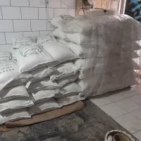 برنج چمپا لری