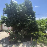 ویلایی-سه-خواب-بهار