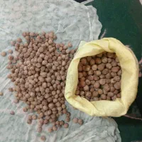 گردو ،، محصولات ارگانیک ،، دهبکری|خوردنی و آشامیدنی|بم, |دیوار