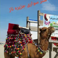 جنوب گردی جذاب اقتصادی لحظه اخری