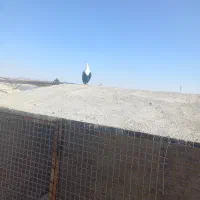 ۱۱ تا رنگه زده خوردی|پرنده|تربتحیدریه, پائین ولایت|دیوار