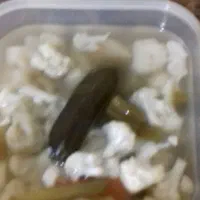 انواع ترشی خونگی