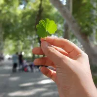 آموزش عکاسی قم