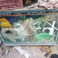 آکواریم|ماهی|اردبیل, |دیوار