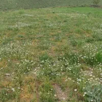 کار پاره وقت