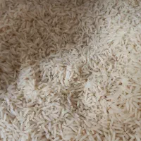 برنج دم سیاه|خوردنی و آشامیدنی|مشهد, کوی دروی|دیوار