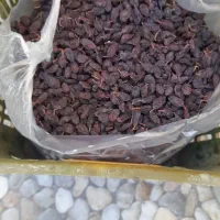 فروش فخری