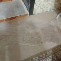 خز برا دکور مبل یا رومیزی نونو