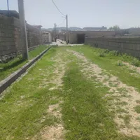 ۱۵۰۰ متر زمین مسکونی روستای چهار تنگ اولیا