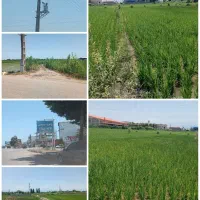 فروش-نقدی-یامعاوضه-خودرو-زمین-کشاورزی-نزدیک-اتوبان
