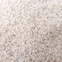 لاشه هاشمی|خوردنی و آشامیدنی|بندر انزلی, پردیس|دیوار