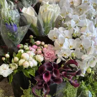 کارگر ساده|استخدام خدمات فروشگاه و رستوران|تهران, کامرانیه|دیوار