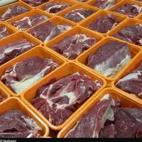 گوشت گوساله گرم