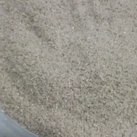 نیم دانه درصف سر