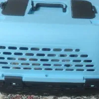 پامر|سگ|چهارباغ, |دیوار