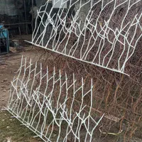 پخش شاخ گوزنی همراه با نصب|مصالح و تجهیزات ساختمان|آمل, |دیوار