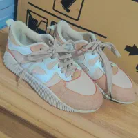 کفش|کیف، کفش، کمربند|گرگان, |دیوار