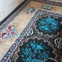 فرش 12 متری|فرش|مرودشت, استادیوم‎|دیوار