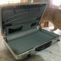 کیف سامسونت مدل دیپلمات|کیف، کفش، کمربند|اسفراین, |دیوار