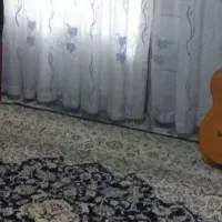 دو تخته فرش ۱۲ متری برند نگین مشهد