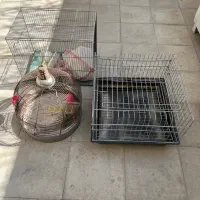 قفس قناری و لوپ