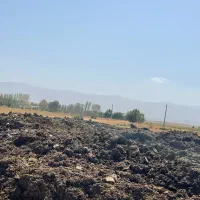 کود حیوانی یانمش پین بر گاوداری|خدمات باغبانی و درختکاری|سراب, |دیوار