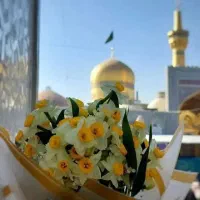 برگزار کننده تور مشهد مقدس