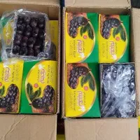 خرمای مضافتی کارتن ۱۲