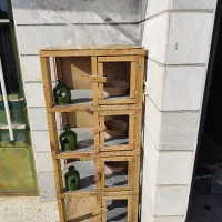 جفت کنی کفتر