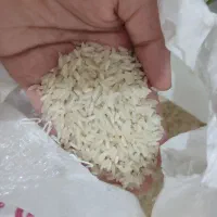 برنج چمپا هلنا