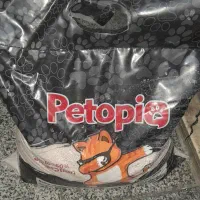 خاک بستر گربه