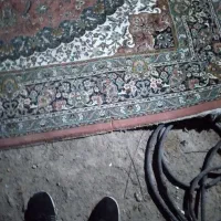 فرشه گمشده مژدگانی