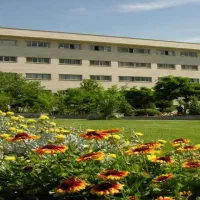 استخدام خدماتی