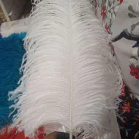 شاهپر علامت محرم