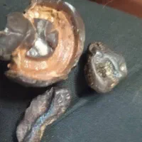 این چیه کی میدونه|کلکسیون اشیاء عتیقه|فولادشهر, A2|دیوار