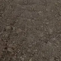 حدود سه هکتار زمین دیم