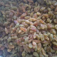 کشمش|خوردنی و آشامیدنی|تهران, ولنجک|دیوار