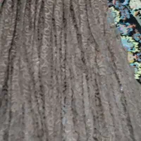 دو عدد شال پرده زر دار کاملا سالم خوش رنگ