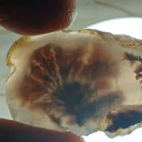 بیله سنگ خام راف شجر قاین ۲۰ قطعه اسلایس