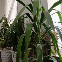 زمین آموزش و پرورش دنا روبه رو زندان مرکزی