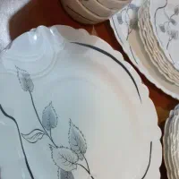 (سرویس ارکوپال)