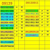 09129330695