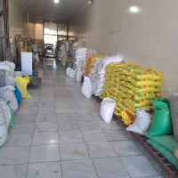برنج محلی دورود.پاکستانی.هندی.عنبربو