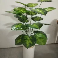 گلهای مصنوعی کنار سالنی|گل مصنوعی|مشهد, شهرک مهر آباد|دیوار