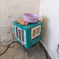 کولر و تخت و خواب تمیز و کولر سالم هر دو ۳میلیون