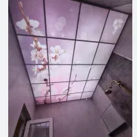 کارگر گچکاری و کنافکاری